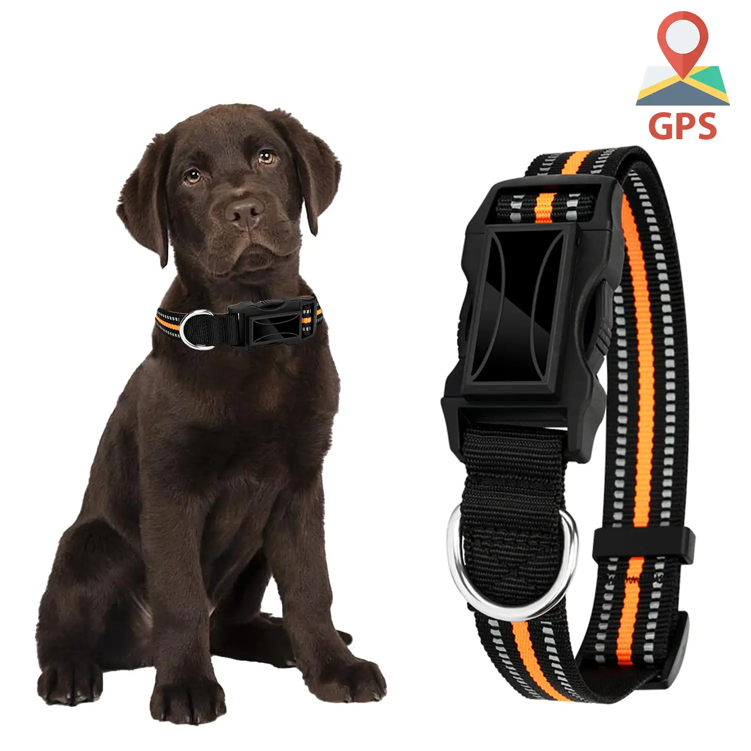 Localizador GPS especial para perros y mascotas. BDS+LBS+AGPS. Collar de 40  a